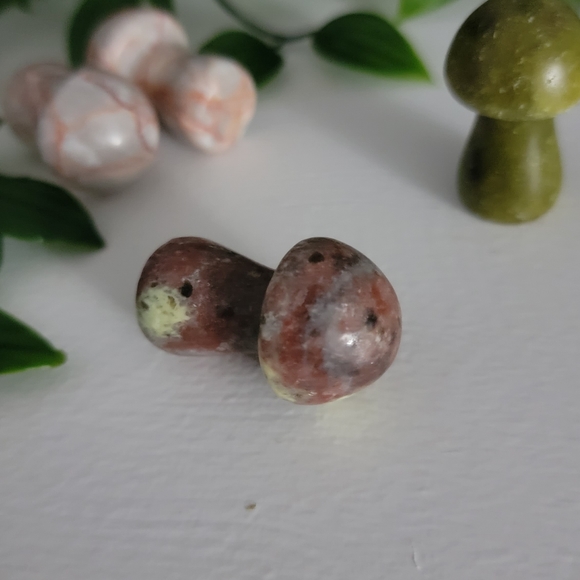 Mini mushrooms - Picture 8 of 10